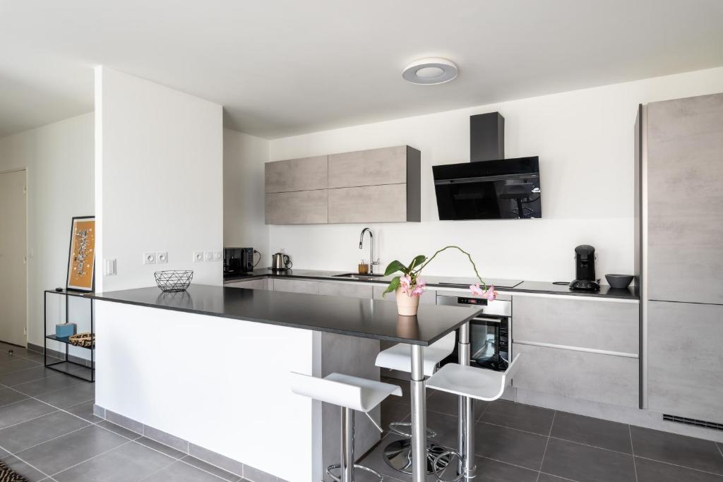 Appartement De Standing Avec Grande Terrasse Villeurbanne Ngoại thất bức ảnh